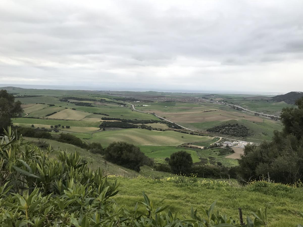 Casas El Molino Villa Vejer de la Frontera Eksteriør billede